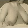 Illustration of breasts from Wikimedia