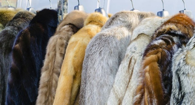 fur-coats