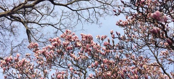 Our Sunday Links