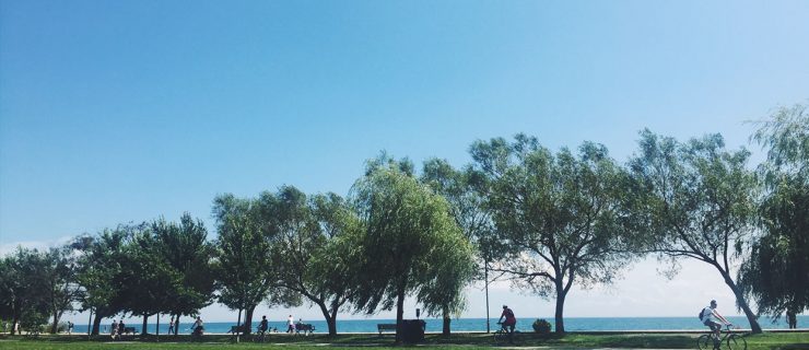 Our Sunday Links